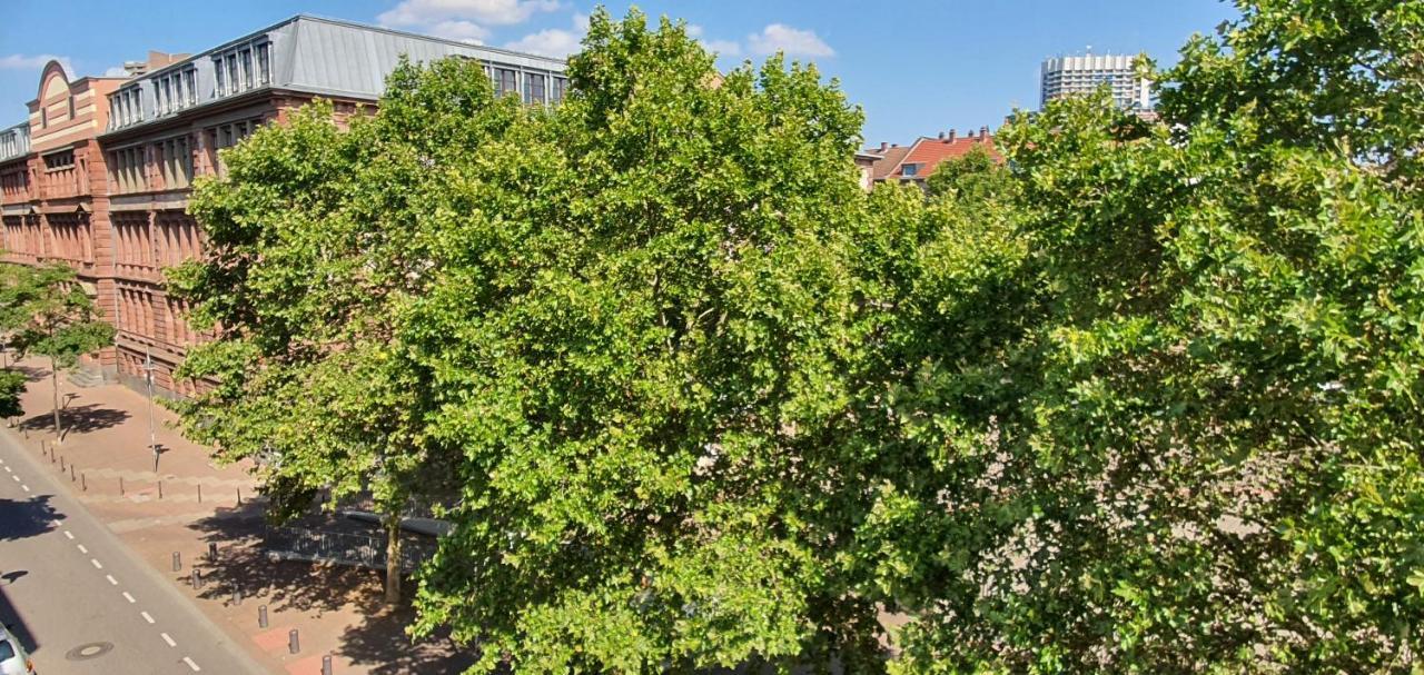 Gemuetliches Privatzimmer In Mannheims Stadtmitte المظهر الخارجي الصورة